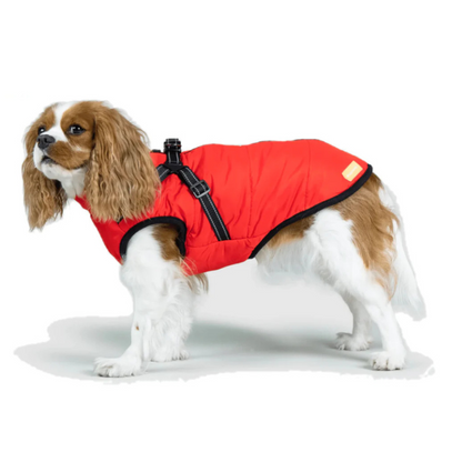 Manteau pour Chiens - FlairNexa™