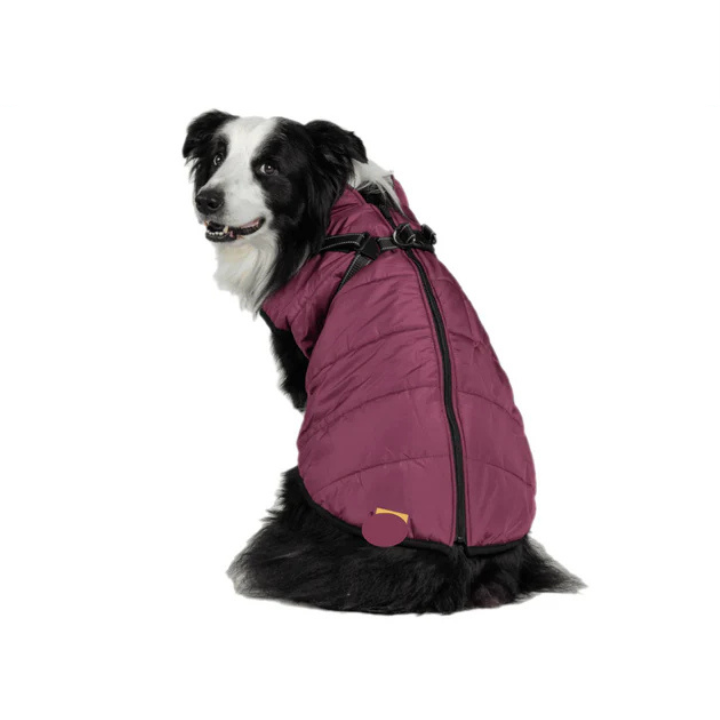 Manteau pour Chiens - FlairNexa™