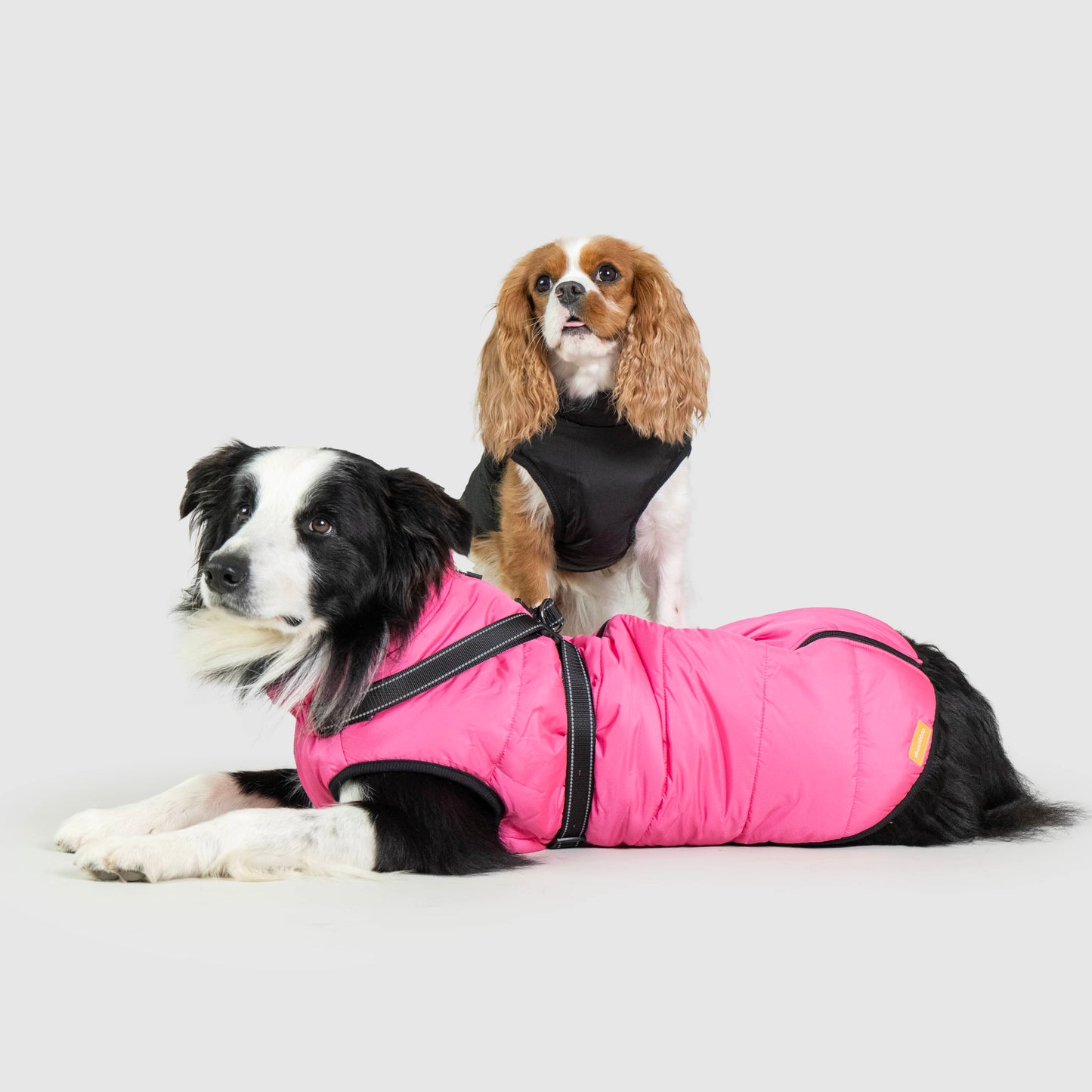 Manteau pour Chiens - FlairNexa™