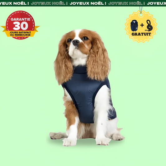 Manteau pour Chiens - FlairNexa™